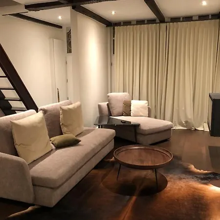 Furnished Professional House -3 Month Minimum Feriehus Gent