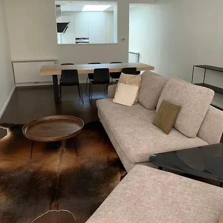 Furnished Professional House -3 Month Minimum Feriehus Gent
