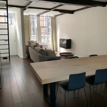 Furnished Professional House -3 Month Minimum Feriehus Gent